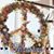 Donna Gillhamer Mullins's profile image