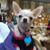 Freda Clark Yeck's profile image