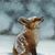 Cindy Prestridge Rogers's profile image