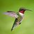 Desiree Irby's profile image