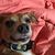 Dalton Dangus's profile image