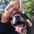 Holly Mokrzecki's profile image