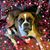 Sue Martinez's profile image