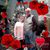 Beth Muskovich's profile image