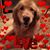 Lucia Leone's profile image