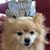 Susan Perry's profile image