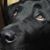 Deborah Elkis-Abuhoff's profile image