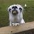 Tanya Marshall's profile image