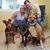 Dawn Ward's profile image