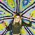 Hali Hanrahan's profile image