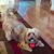Patti Pigg Palmer's profile image