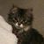 Susan Kolberg's profile image