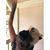 Crystal Pistol's profile image