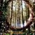 Maery Matteson's profile image