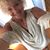 Kathy Gabel Haviland's profile image