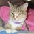 Donna Boring Banko Jobe's profile image