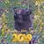 Kristine D Miller's profile image