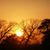 Suzette Peel's profile image