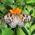 Lynn Cuda's profile image