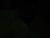 - -.'s profile image