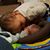 Jarrod Nankivell's profile image