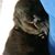 Shannon Cotton's profile image