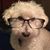 Jackie Cohn Hawley's profile image