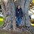 Rita Cassia Graziosi's profile image