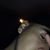 Jovany Garduno's profile image