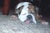 PAMELA P.'s profile image