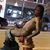 Shabookie Shanay's profile image
