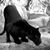 Lori Barnette's profile image