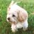 Jim Keating's profile image