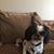 Christine Desander's profile image