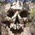 John Hessert's profile image