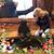 Brenda Reynolds Frazier's profile image
