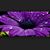Angela Jackson's profile image