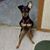 Vickie Walter's profile image