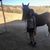 Debrah Segal's profile image