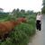Meredith Joan's profile image