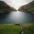 Sobia Asif's profile image