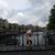Genevieve DeLucchi Anderson's profile image