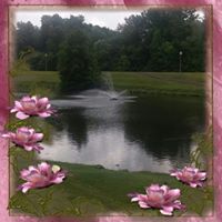 Angela White's profile image