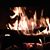 Duane Morris's profile image