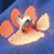 Julie Mullikin Beard's profile image
