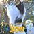 Pat Quinn's profile image
