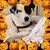 Jan Saunders's profile image