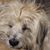Shaye Yarnell's profile image