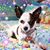Michelle Keyser's profile image