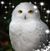 Cheryl Buchanan Cavanaugh's profile image